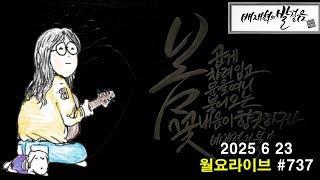 월요라이브