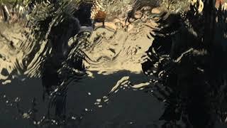 Wash It Dry – Jonathan Morrison
