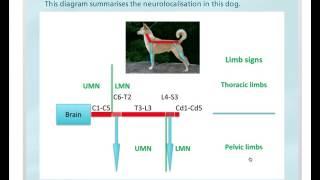 UCD SVM Grad Cert in Small Animal Medicine SNAPI 1