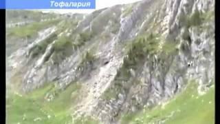 Хроника поиска московских туристов в Саянах