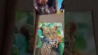 Касперова Даша, 3А класс