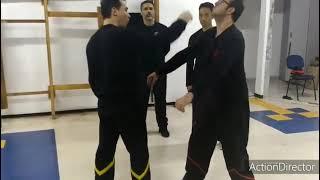 DRAGOS WING TSUN INCH PUNCH - Sifu Martin Dragos