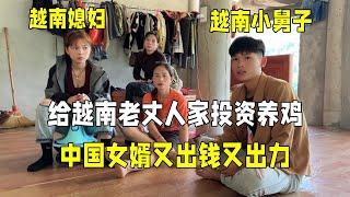 投资给越南老丈人家养鸡，中国女婿出钱又出力，丈母娘越看越满意