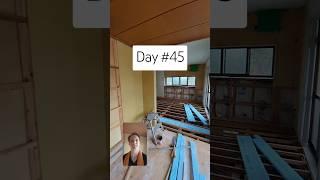 Day 45 of Japanese House Renovation: A bit more drywall... #japanesehouse #diy #diyrenovation #japan