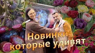 Необычные новинки, которые удивят в этом сезоне