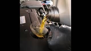 Can you fault this oil change?
