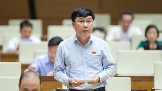 ĐBQH Lê Hoàng Anh (Gia Lai): Nên công khai việc cơ quan, đơn vị gửi tài liệu chậm đến các ĐBQH