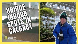 3 Unique Spots to Embrace the Great Indoors in Calgary this Winter