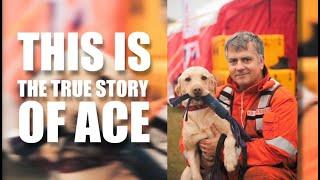 ACE - ex-fire service search and rescue dog's remarkable and true story