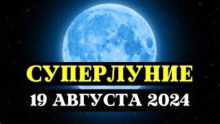 СУПЕРЛУНИЕ, МОЩНЕЙШИЙ ЭНЕРГЕТИЧЕСКИЙ ДЕНЬ, ПОЛНОЛУНИЕ 19 АВГУСТА 2024, ПРАКТИКИ И РИТУАЛЫ ДЛЯ ЗНАКОВ