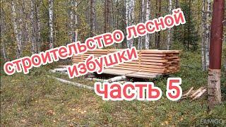 строительство лесной избушки. Часть 5.