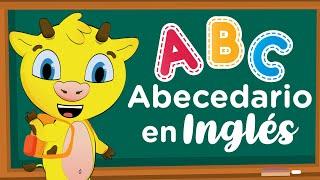 The alphabet in English | learn English