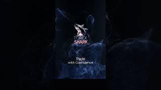 Forex Shark