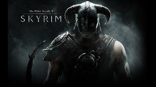 The Elder Scrolls V Skyrim Gameplay on Low End PC (AMD A9 9400, Radeon R5 Graphics)