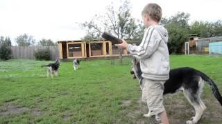 Питомник ВЕО ***Веолар***