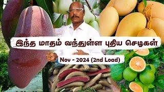 NovLoad 2நம் மண்ணுக்கு ஏற்ற 100+ செடிகள்: பராமரித்து விற்பனை | Plants Perfectly Grown for Your Soil