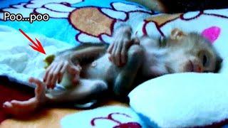 Most Worry!! Poor Newborn Baby Monkey Dody First Poopoo So Very Weakness,