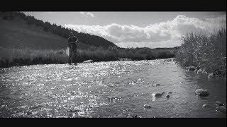 Our Public Lands: Fly Fishing| Gun Talk