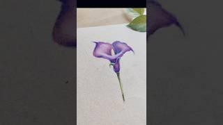 Soft Pastel Flower Drawing #drawing #painting #flowers #softpastel #art