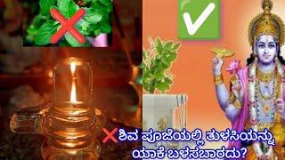 Why Tulsi should NOT be used in SHIVA pooja! Mythology and facts explained|| Kannada vlogs