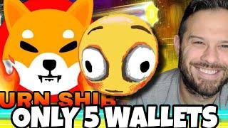 Shiba Inu Coin | Only 5 Wallets Hold ALL THE SHIB?!