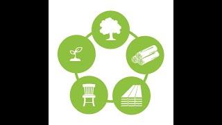 The Urban Wood Movement  Expanding from Coast to Coast