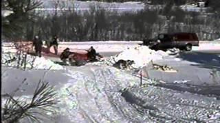 Sled Dog Crash Short 1995