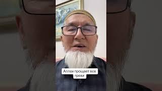 Прощающий все грехи