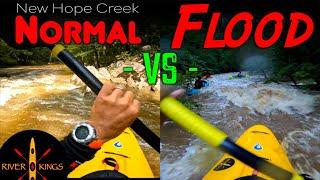 New Hope Creek // Kayaking in Normal Flows vs Flood Stage