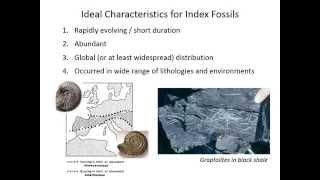 Biostratigraphy