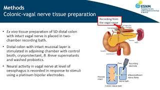 Bifidobacterium Breve NCFB 2258 stimulates vagal nerve firing across by Dervla O'Malley