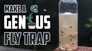 Make a Genius Fly Trap! (Get Rid of Flies For Good)