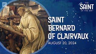 The Saint Bernard Dog is Named after this Saint