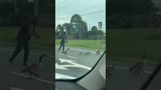 He’s got to be the super hero… the last one was trying to warn me.  #animals #heroic #family