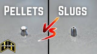 Pellets VS Slugs | Which One Is For You?