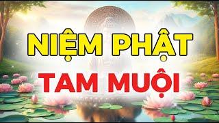 NIỆM PHẬT TAM MUỘI  CẢNH GIỚI NIỆM PHẬT CAO NHẤT 