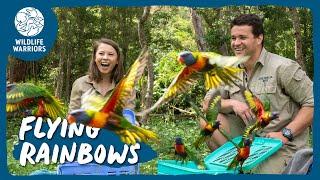 A very colourful release | Wildlife Warriors Missions