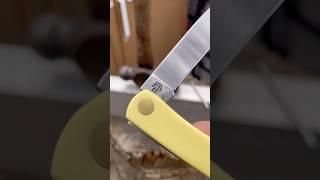 Not the CASE! #shorts #knifestuffwedo #sodbuster #case #knifetest #folder