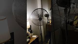 Metal pedestal fan