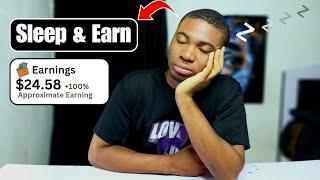 Earn $24.15 Online While You Sleep Passive Income (Nigeria)