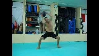 Okinawa Ryuibukan Academy. Medicine ball workouts