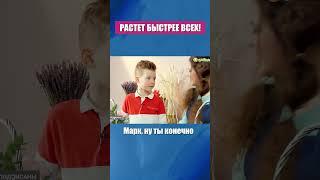 Какой цветок растет быстрей всех?