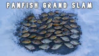 Michigan Ice Fishing GRAND SLAM | 2 Man Limit of Panfish