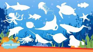 Learn Sea Animal Names - Sea Animal Puzzle for Kids - Ocean Animals