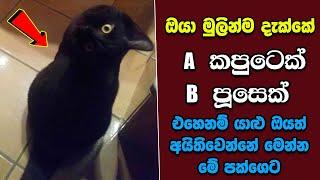 මේවා නොදකින දෑස කුමටද ? EP:91