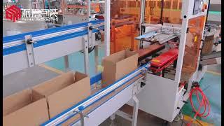 KETCHUP bottle carton packing machine