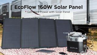 EcoFlow Solar Panel Connection Tutorial / MOVESEA