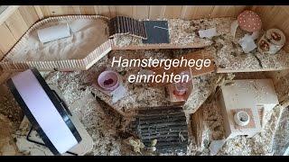 Gehege einrichten   Hamster