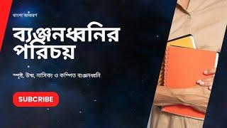 ব্যঞ্জনধ্বনির পরিচয় | স্বরধ্বনি ও ব্যঞ্জনধ্বনি | স্বরবর্ণ ও ব্যঞ্জনবর্ণ | বাংলা ব্যাকরণ | #বাংলা