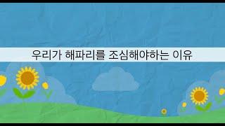 [영동바다쓰담 시즌2] 해수욕장에서 해파리를 조심해야하는 이유_ 지구마을 방범대